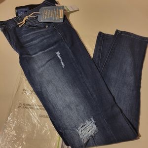 Democracy Women's Ab Solution Jegging sz 8 NWT blue - FAVE!